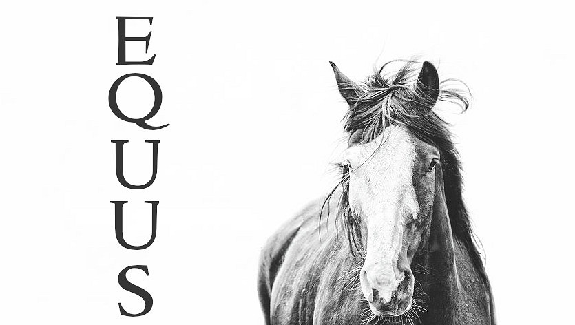 馬匹栩栩如生!《荒野大鏢客2》全新高清材質包發布 馬匹栩栩如生!《荒野大鏢客2》全新高清材質包發布