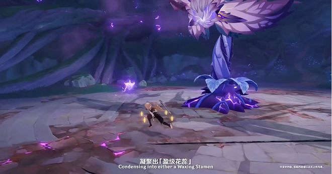 大偉哥現身原神前瞻直播 提納裡進常駐池 大偉哥現身原神前瞻直播 提納裡進常駐池