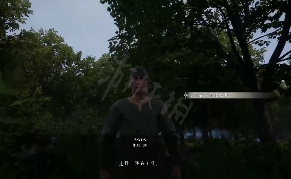 《中世紀王朝》貓頭鷹在哪?尤尼哥斯任務貓頭鷹位置 《中世紀王朝》貓頭鷹在哪?尤尼哥斯任務貓頭鷹位置