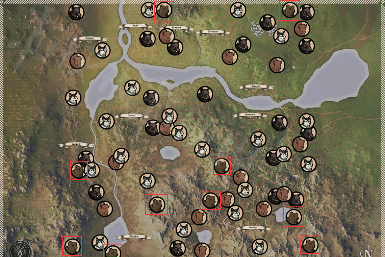 《中世紀王朝》熊的位置在哪?熊刷新位置 《中世紀王朝》熊的位置在哪?熊刷新位置