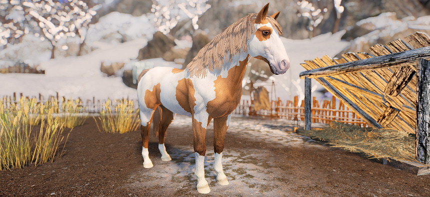 烈焰戰馬好帥氣!《上古卷軸V:無界天際》巫師坐騎MOD 烈焰戰馬好帥氣!《上古卷軸V:無界天際》巫師坐騎MOD