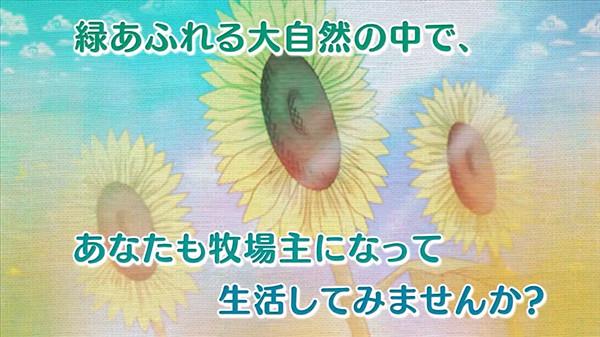 NS牧場模擬《箱庭牧場 綿羊村》將於11月10日發售