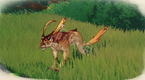 《原神》3.0須彌新生物有什麽？3.0須彌新生物一覽