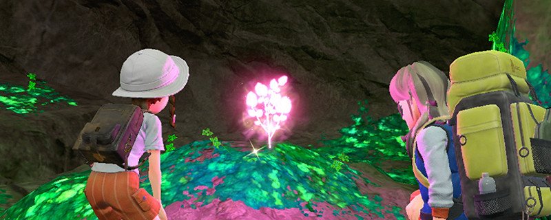 寶可夢朱紫對戰競技場有什麽特點