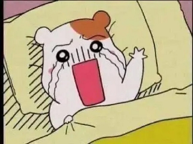 你的第一把人體工學椅 又何必是真的人體工學椅 你的第一把人體工學椅 又何必是真的人體工學椅