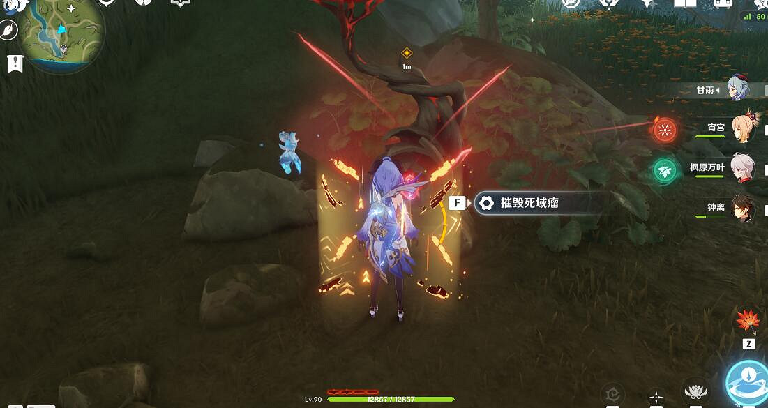 《原神》森林書任務怎麽觸發?森林書任務攻略 《原神》森林書任務怎麽觸發?森林書任務攻略