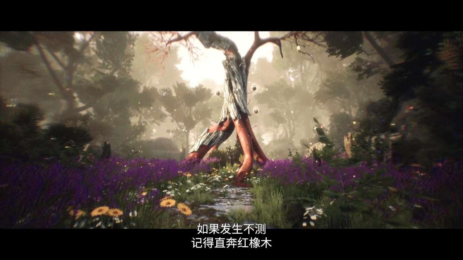 科隆：《女巫悲歌》新預告 Steam預購已開啟