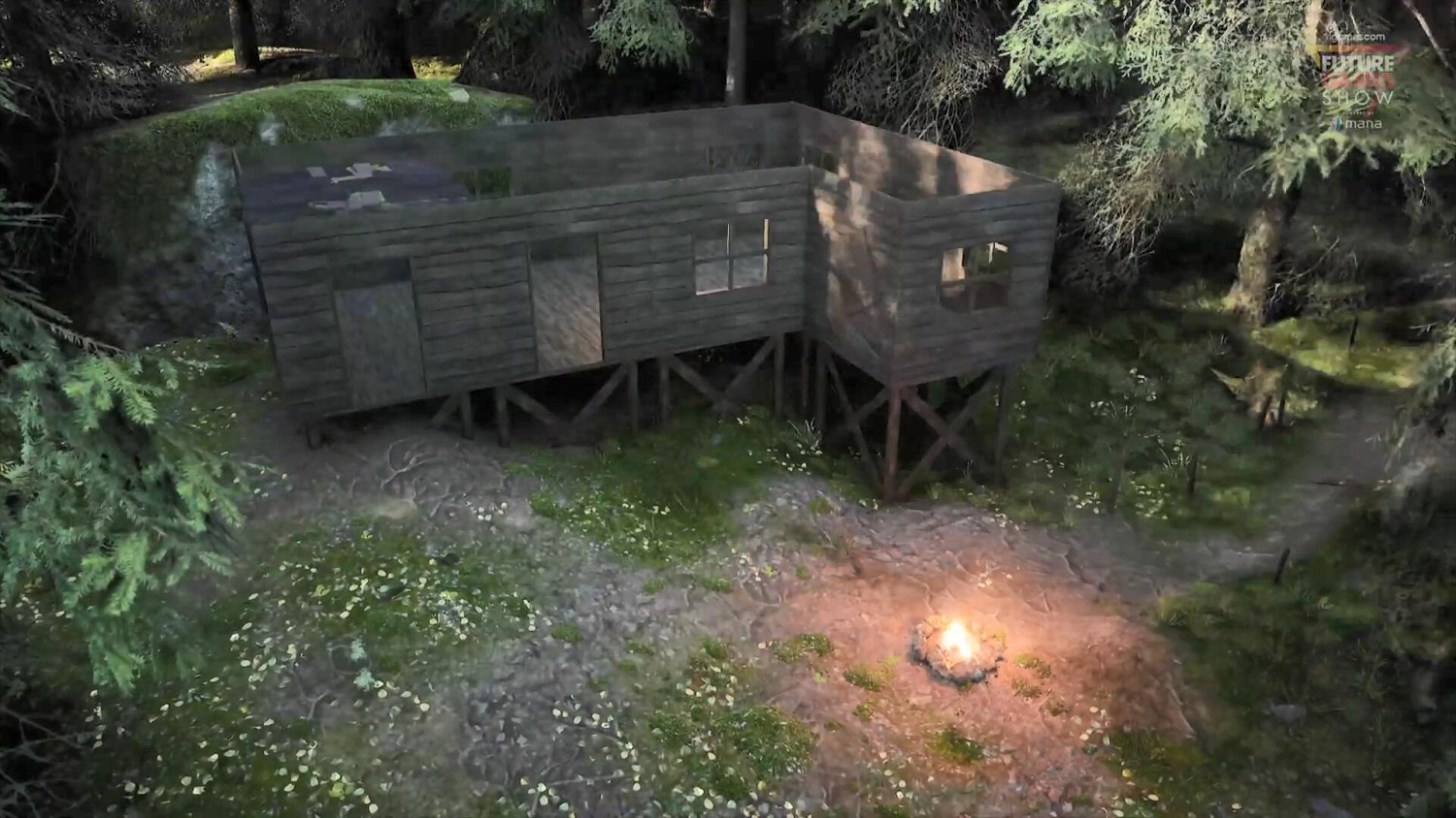 GC22：開放世界生存遊戲《Rooted》展示 虛幻5打造!