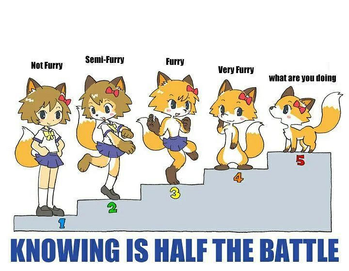 首先我不是福瑞控 但《絕區零》這位戳中了我的心巴