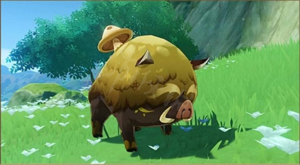 《原神》蕈豬在哪裡?蕈豬位置介紹 《原神》蕈豬在哪裡?蕈豬位置介紹