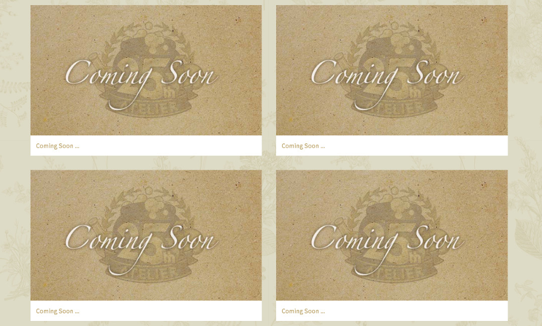 NS每日新聞 光榮TGS有神秘新作 斯普拉遁試玩別錯過 NS每日新聞 光榮TGS有神秘新作 斯普拉遁試玩別錯過