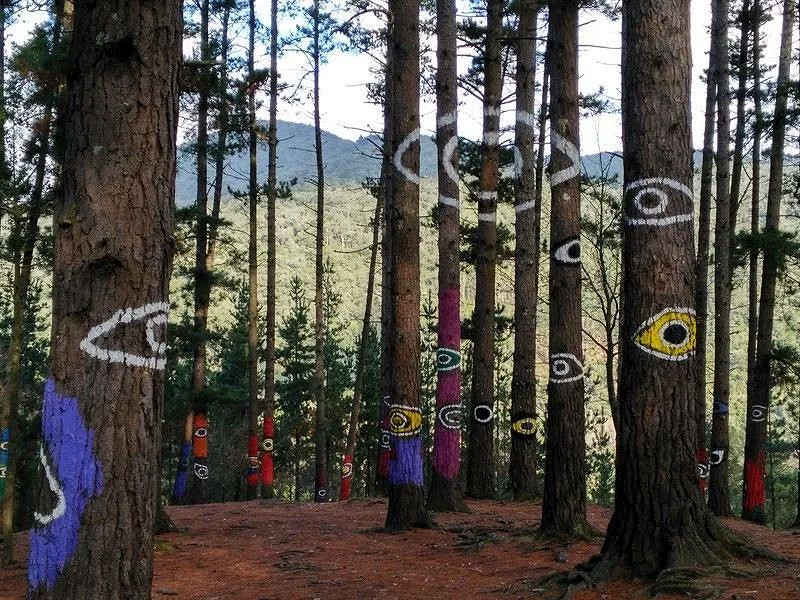 NS新聞 寶可夢朱紫神秘預告圖 星際戰甲預告限免活動