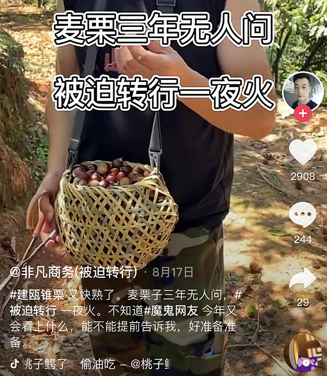 吃雞主播轉型“煮播” 你所不知道的網紅轉職故事 吃雞主播轉型“煮播” 你所不知道的網紅轉職故事