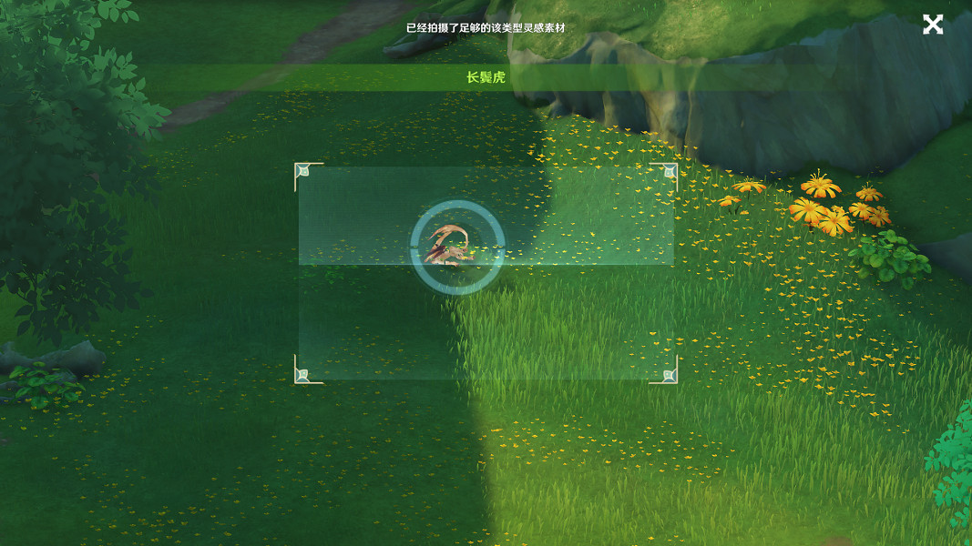 《原神》動物行為有哪些?動物行為任務玩法分享 《原神》動物行為有哪些?動物行為任務玩法分享