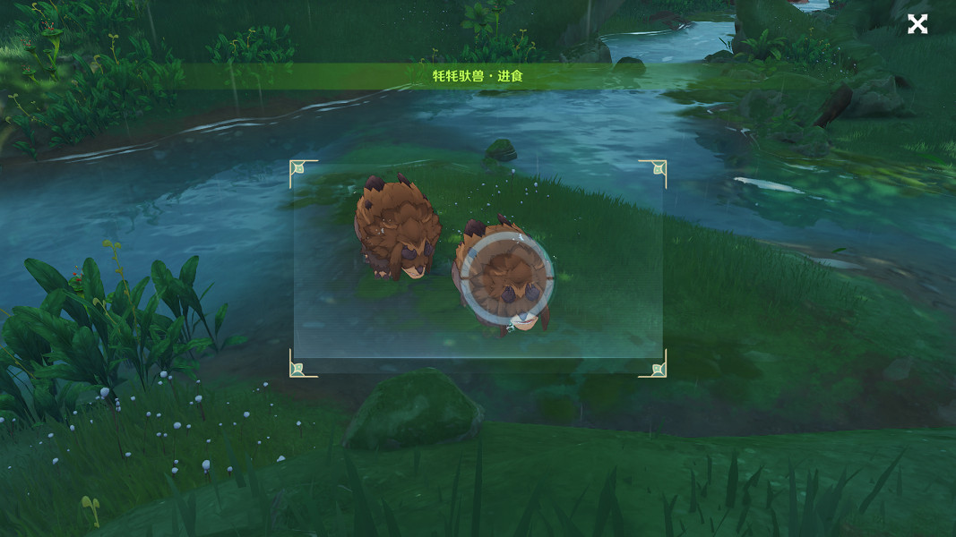 《原神》動物行為有哪些?動物行為任務玩法分享 《原神》動物行為有哪些?動物行為任務玩法分享