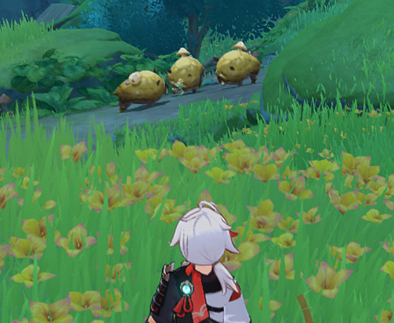 《原神》須彌怪物生態調查成就怎麽玩?須彌怪物生態調查成就玩法一覽 《原神》須彌怪物生態調查成就怎麽玩?須彌怪物生態調查成就玩法一覽