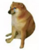 喜歡大姐姐，在2022年已經退環境了嗎？