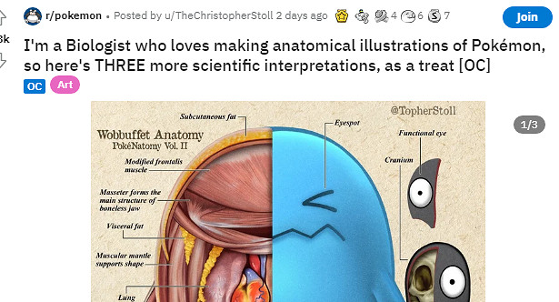 生物專家再公開寶可夢真實版解剖圖 精細嚴謹刻畫 生物專家再公開寶可夢真實版解剖圖 精細嚴謹刻畫