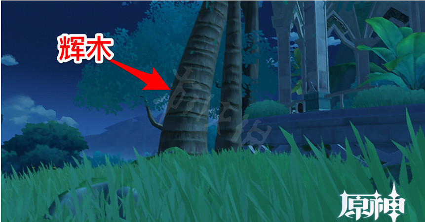 《原神》業果木哪裡採集?業果木採集點介紹 《原神》業果木哪裡採集?業果木採集點介紹