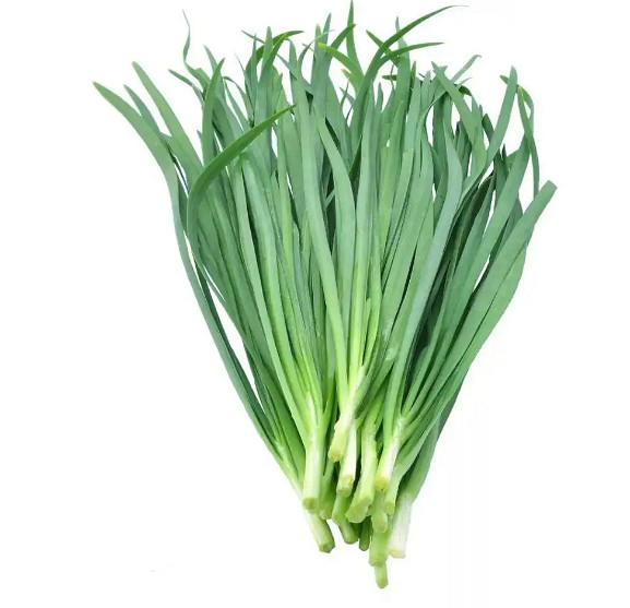 馬頭社，你要不翻譯翻譯，什麽叫自願？