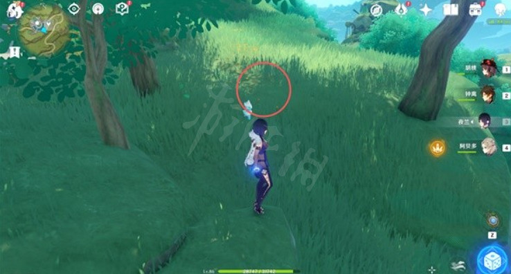 《原神》證悟木怎麽速刷？證悟木速刷方法介紹