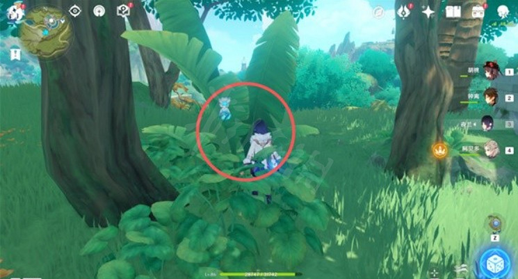 《原神》證悟木怎麽速刷？證悟木速刷方法介紹