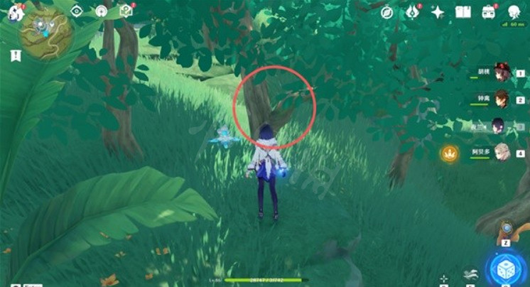 《原神》證悟木怎麽速刷？證悟木速刷方法介紹