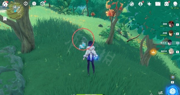 《原神》證悟木怎麽速刷？證悟木速刷方法介紹