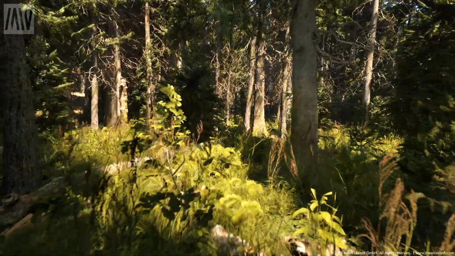 虛幻5引擎“針葉林”技術展示 畫面過於逼真 虛幻5引擎“針葉林”技術展示 畫面過於逼真