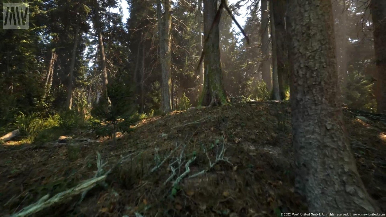 虛幻5引擎“針葉林”技術展示 畫面過於逼真 虛幻5引擎“針葉林”技術展示 畫面過於逼真