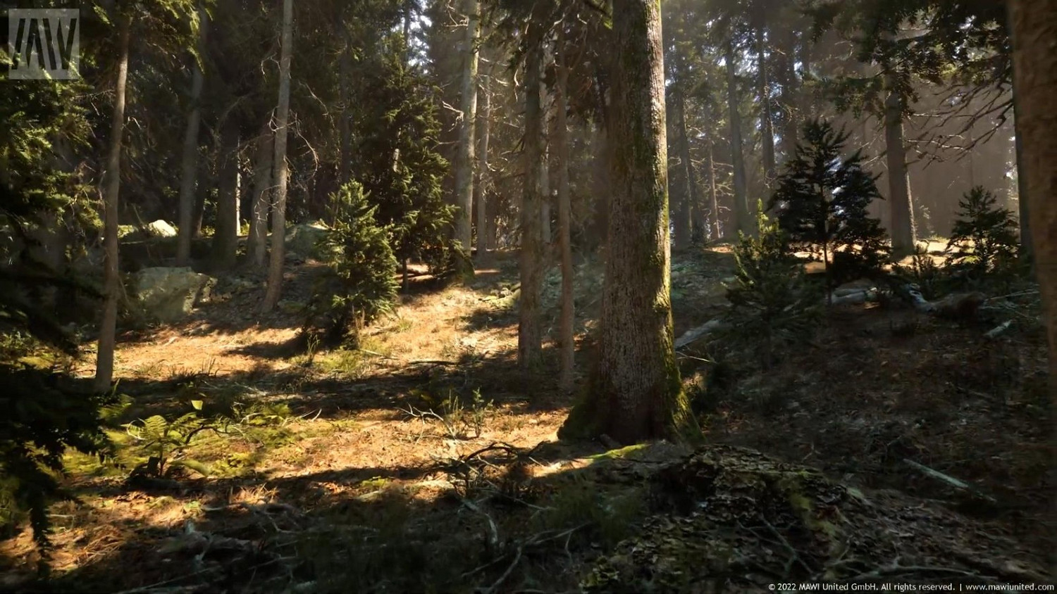 虛幻5引擎“針葉林”技術展示 畫面過於逼真 虛幻5引擎“針葉林”技術展示 畫面過於逼真