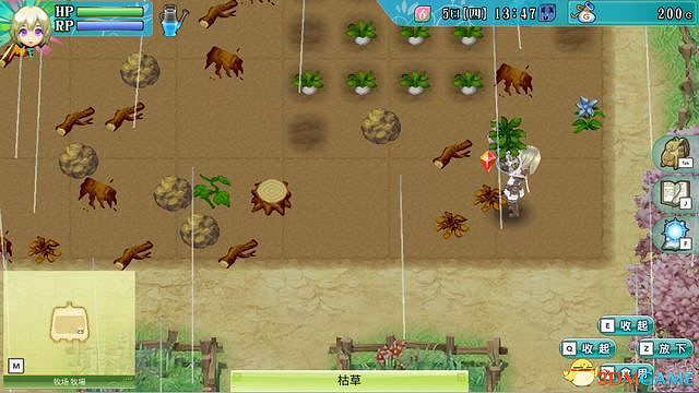 《符文工房4：特別版》圖文攻略 新增內容詳解及系統玩法指南