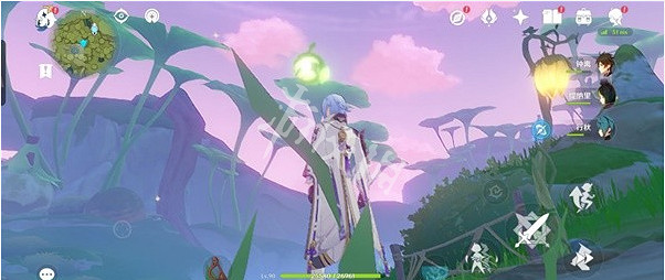 《原神》桓那蘭那的華麗寶箱在哪？桓那蘭那的華麗寶箱攻略分享