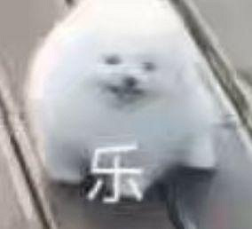 每個喜歡動森的玩家，都該來試試迪士尼這款遊戲