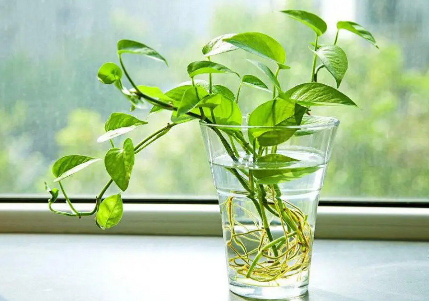 可能再也找不到這樣一群做原創漫畫的人了 可能再也找不到這樣一群做原創漫畫的人了