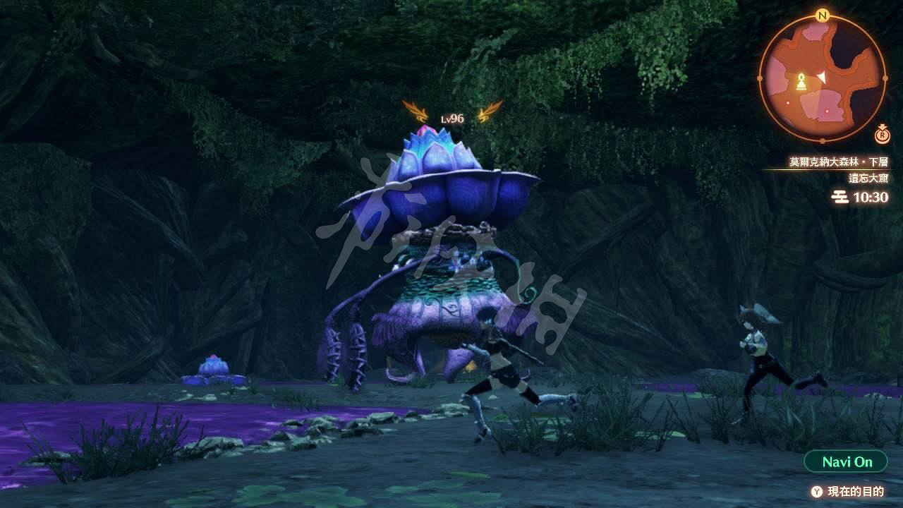 《異域神劍3》食肉花的果肉花在哪?食肉花的果肉花位置一覽 《異域神劍3》食肉花的果肉花在哪?食肉花的果肉花位置一覽