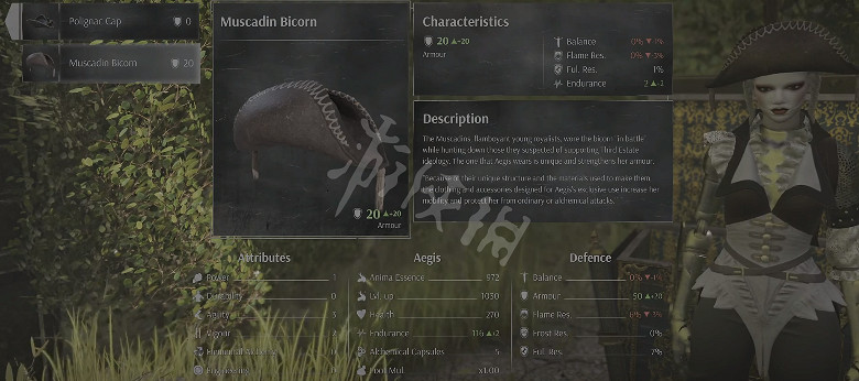 《鋼之崛起》麝香草雙角帽如何獲得？麝香草雙角帽獲取方法介紹