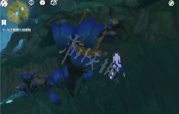 《原神》與蘭那羅一同冒險任務無指引怎麽做?與蘭那羅一同冒險任務無指引攻略 《原神》與蘭那羅一同冒險任務無指引怎麽做?與蘭那羅一同冒險任務無指引攻略