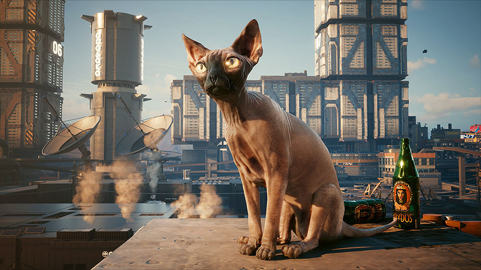 《電馭叛客2077》拍照比賽第2期:來點喵趣橫生的照片 《電馭叛客2077》拍照比賽第2期:來點喵趣橫生的照片