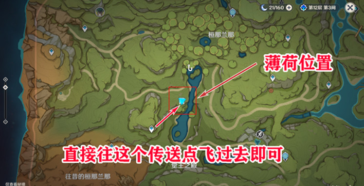 《原神》須彌怎麽速刷好感任務？須彌速刷好感任務方法介紹