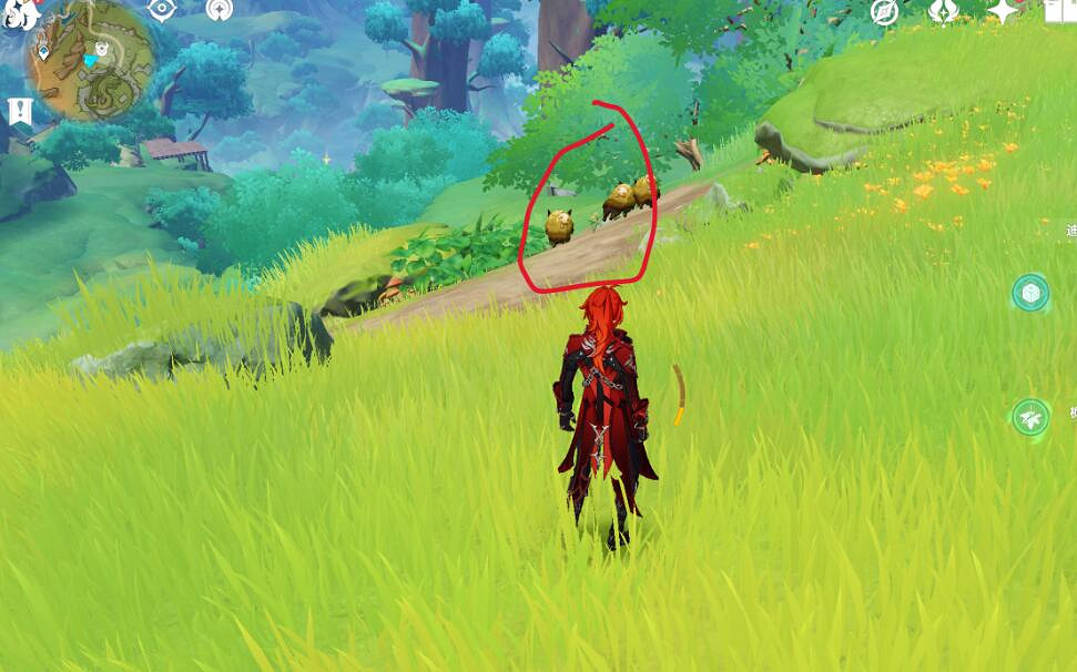 《原神》與珍惜之鳥的短暫邂逅任務流程 暝彩鳥位置分布一覽