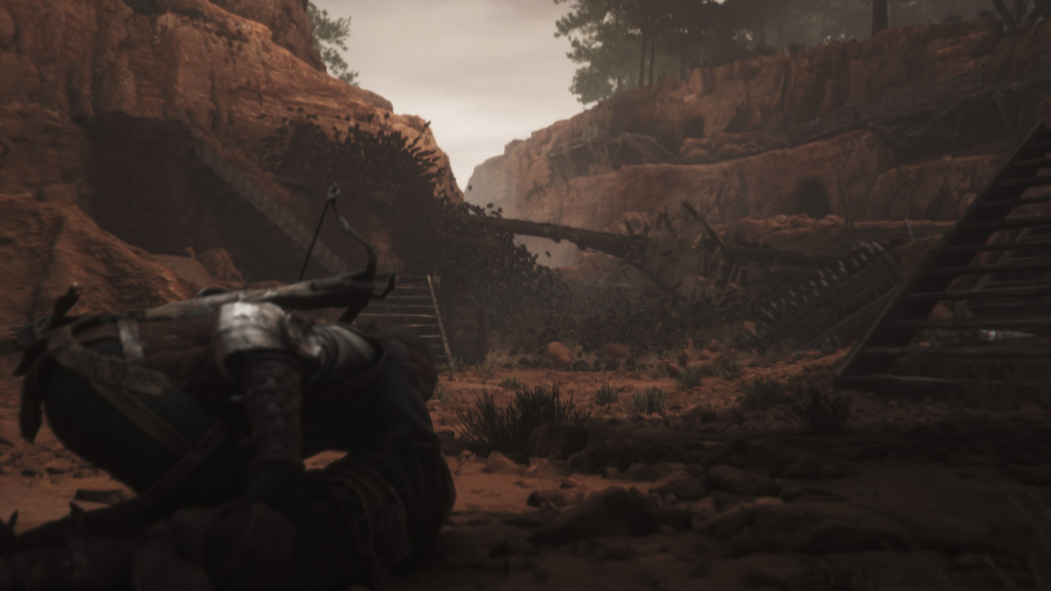 “十萬同屏”,但全是老鼠 “十萬同屏”,但全是老鼠