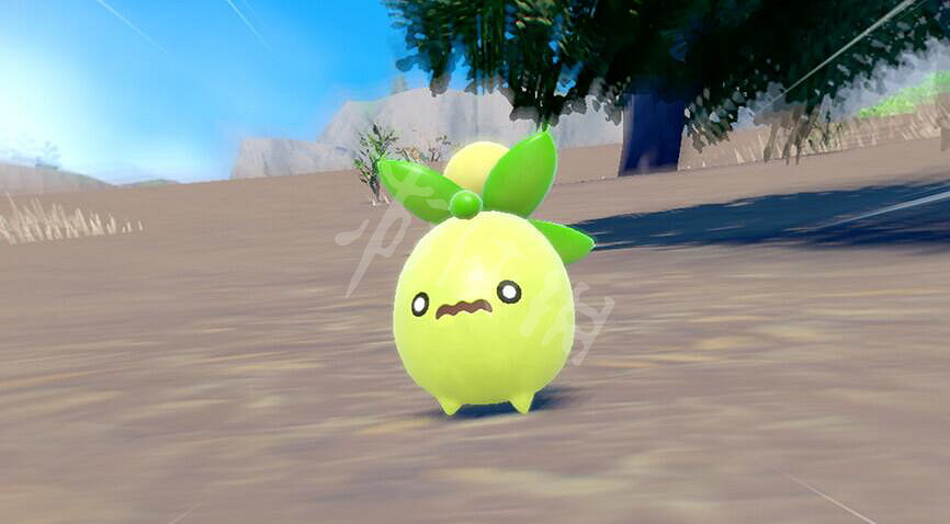 《寶可夢朱紫》迷你芙寶可夢怎麽樣？橄欖寶可夢特點介紹