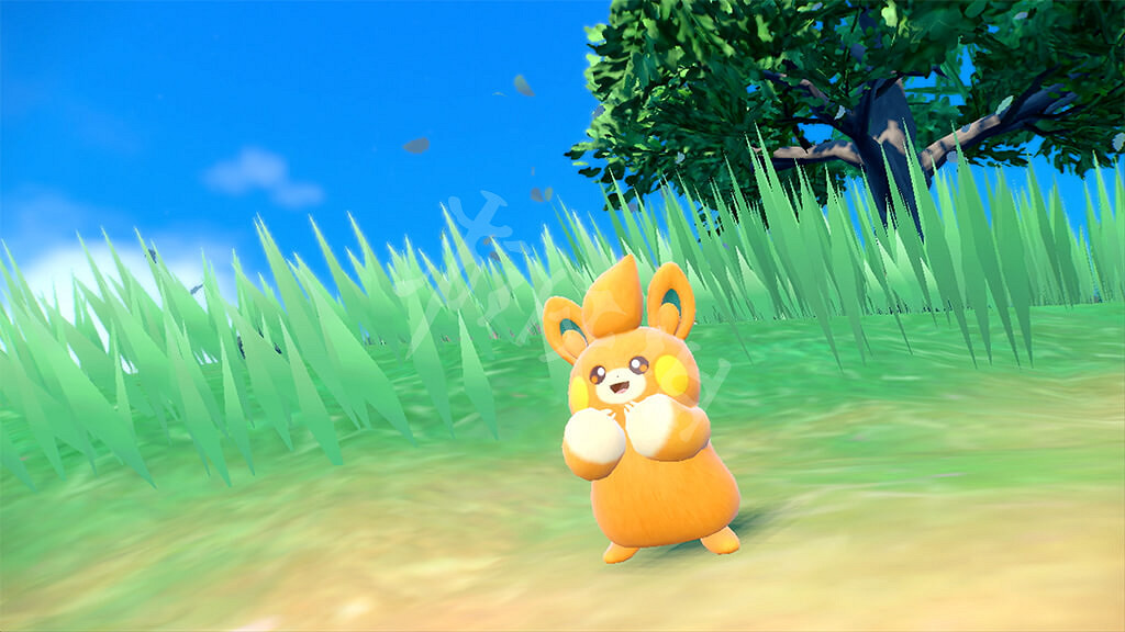 《寶可夢朱紫》布撥寶可夢有什麽特性？布撥屬性特點介紹