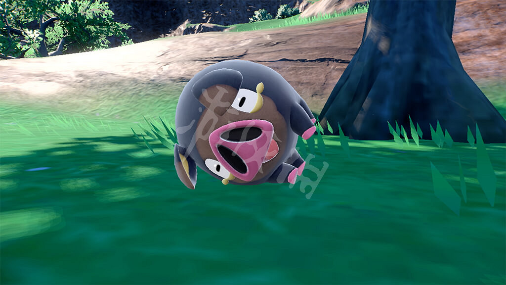 《寶可夢朱紫》寶可夢百科大全 全新寶可夢圖鑒大全