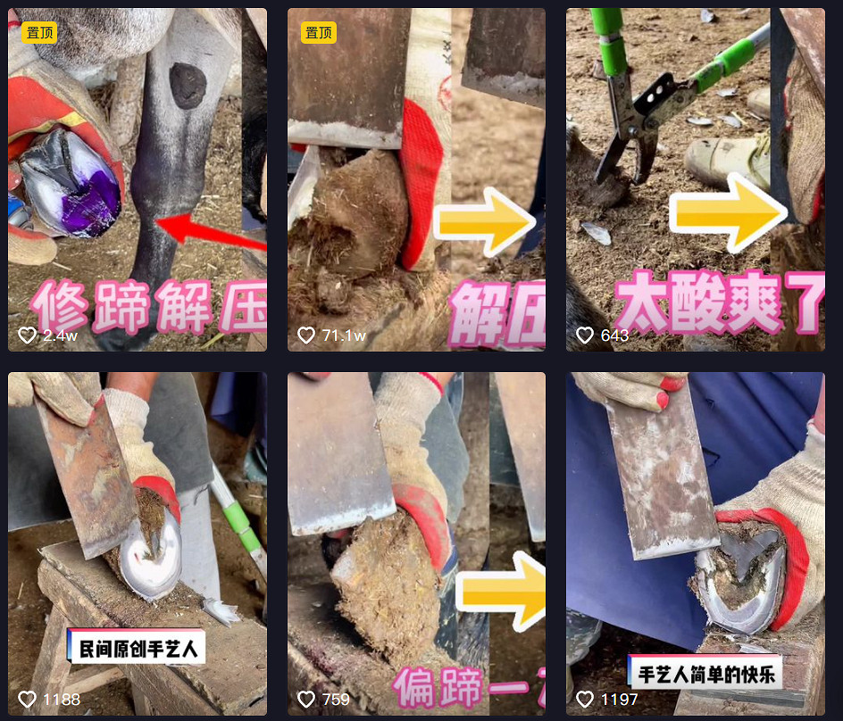 我攤牌了,我也是足控,熬夜遲到就遲到吧 我攤牌了,我也是足控,熬夜遲到就遲到吧