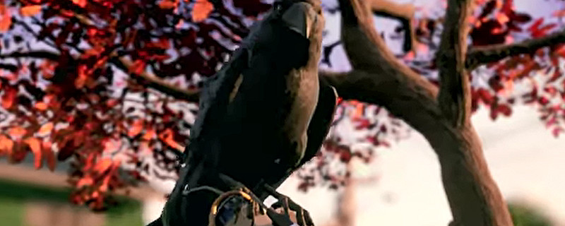 Grounded狼蛛的武器和元素傷害關係是什麽