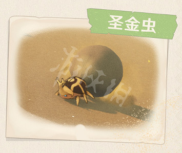 《原神》3.1大赤沙海新生物有哪些?3.1須彌大赤沙海新生物一覽 《原神》3.1大赤沙海新生物有哪些?3.1須彌大赤沙海新生物一覽