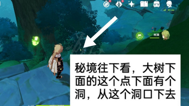 《原神》夢境林莽的屏障怎麽過？夢境林莽的屏障過法介紹