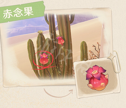 《原神》3.1大赤沙海新特產有哪些?3.1大赤沙海新特產介紹 《原神》3.1大赤沙海新特產有哪些?3.1大赤沙海新特產介紹